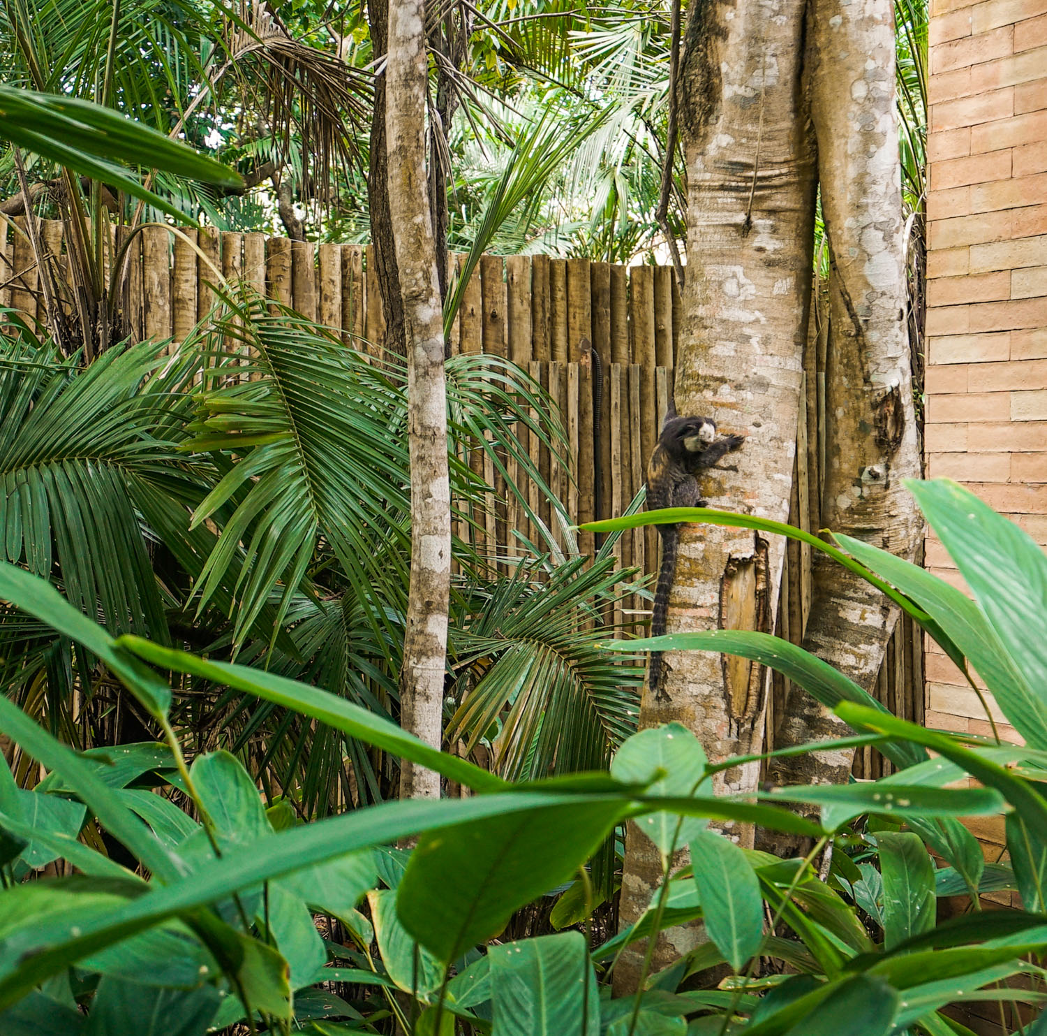 Biodiversidade na Propriedade